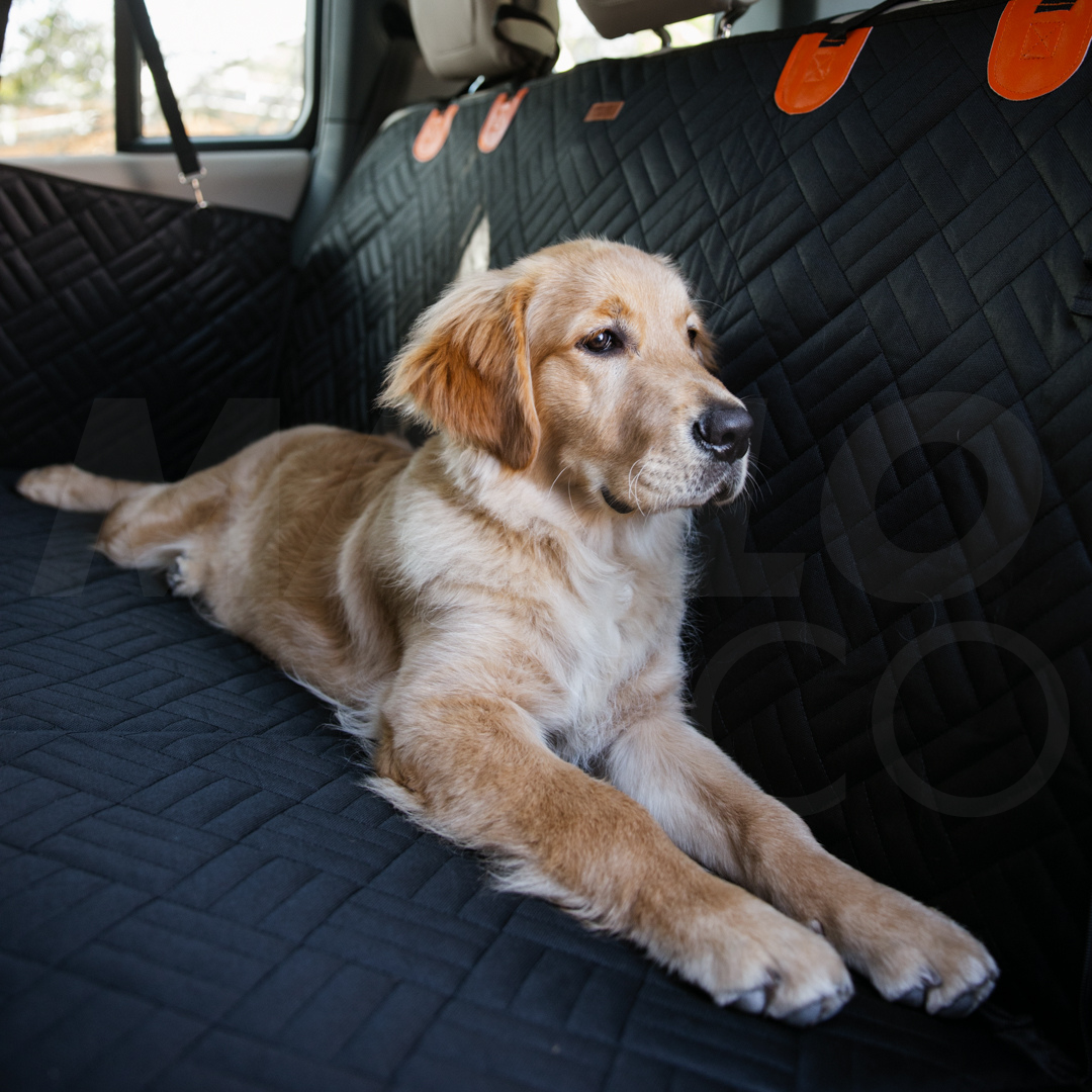Marlo&Co™ Dog Seat Cover